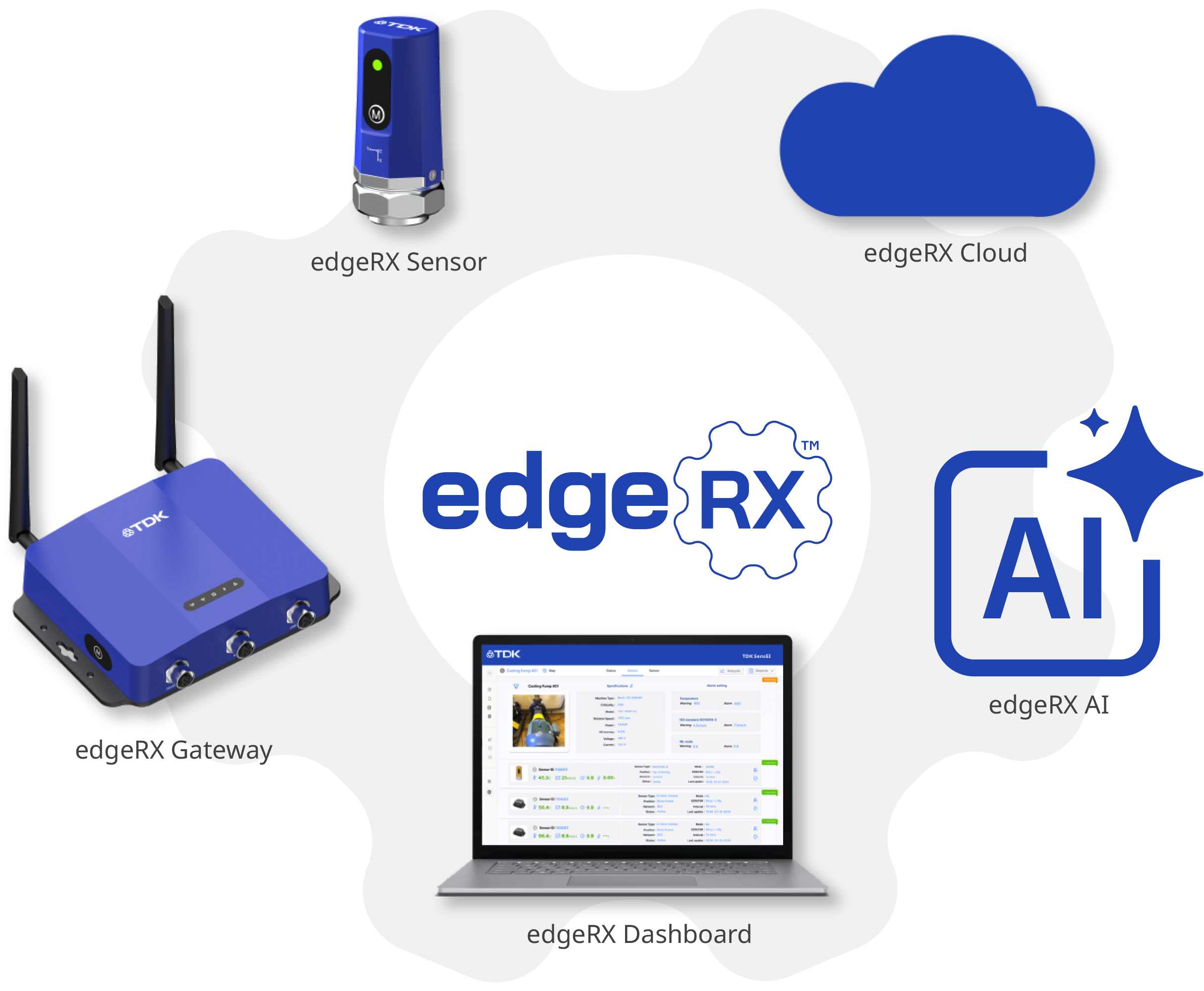 edgeRX platform
